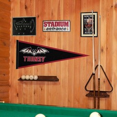 Transylvania University Pioneers 12 in X 30 in College Pennant