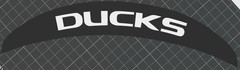 Oregon Ducks Riddell Speed Flex Football Helmet Bumpers CUSTOM 3D Printed
