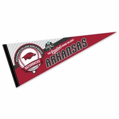 Arkansas Razorbacks 12 in X 30 in 2025 College Baseball Series College Pennant