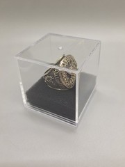 WWE Wrestling Hall of Fame Championship Gold Ring with display case. 🇺🇸