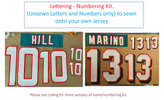 NFL Miami Dolphins Lettering Custom ANY Year Name Number Kit UNSEWN for Jersey