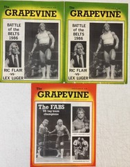 Lot of 18 Vintage « The Grapevine » Vol. 9 Florida Wrestling Programs (1986) RARE!