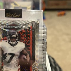 2023 Wild Card Alumination Bijan Robinson (RC) Red Black Snake Skin 20/75 BC-BR