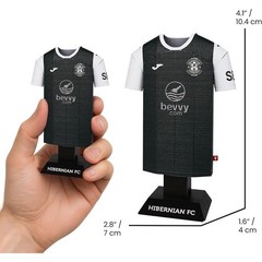Hibernian FC Metal Football Shirt Personalised Hibs 2025/26 Home Kit Alloy Shirt