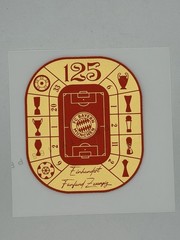BAYERN MUNICH 125 Anniversary soccer jersey player issue patch