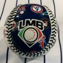 Mexican Baseball League LMB Team Logos Zona Norte Souvenir Baseball Ball