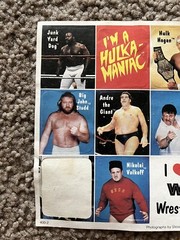 1985 Titan Sports Sticker Sheet. Vintage WWF. Hulk,Piper,Snuka,Sheik,Andre,JYD