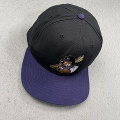 VINTAGE Merrillville Mud Dogs Hat Adult New Era Black Minors Snapback Cap 90s
