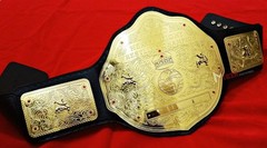 BIG GOLD World Heavyweight Championship Replica Tittle Belt Adult 2MM BrassPlate