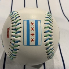Chicago Illinois Windy City My Kind Of Town White Matte Souvenir Baseball Ball