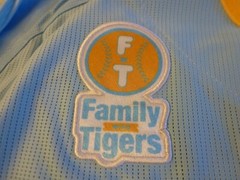 NEW MIZUNO Japan NPB HANSHIN TIGERS Baseball Jersey Sky Blue #2 Umeno XL