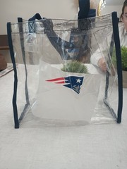 NFL Foco New England Patriots Clear Reusable Bag 12 X 12 X 6