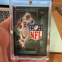 Panini Silhouette NFL Shields – Darrelle Revis NFL Shield Jets 1/5 Insert