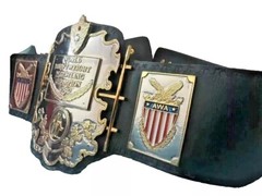 AWA WORLD HEAVYWEIGHT WRESTLING CHAMPIONSHIP BELT 2MM Brass Adult Size