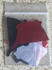 NASCAR Kyle Larson 2024 Sonoma Race Win Victory Lane Confetti