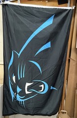 Carolina Panthers Flag Black 60 x 36 Inches Used
