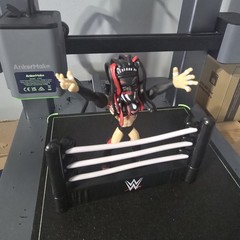 Finn Balor WWE « Slam Stars » Collectible Figure Slam Crate 02.02 Exclusive No Box