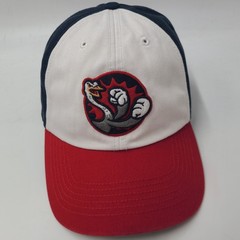 Reading Fightin Phils Hat Fitted M 47 Brand Franchise White Blue Red MiLB Men