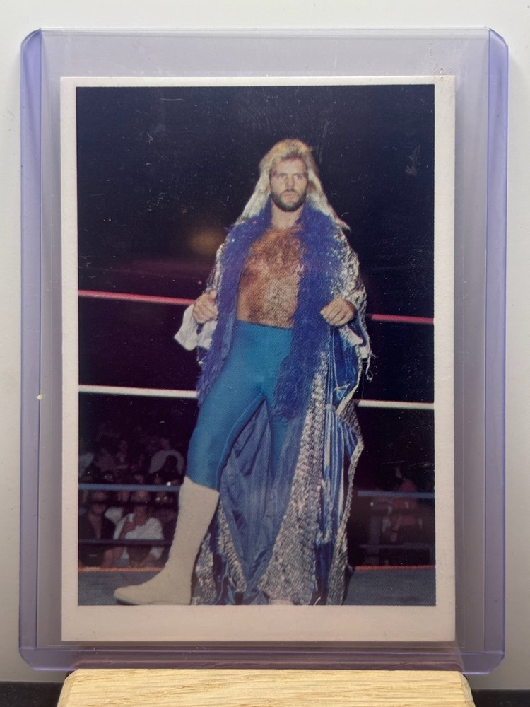 1988 Wonderama NWA Wrestling Michael Hayes #44