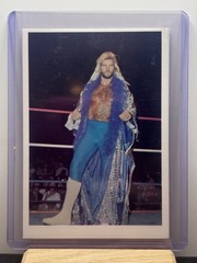 1988 Wonderama NWA Wrestling Michael Hayes #44