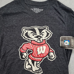Wisconsin Badgers Colosseum Athletics Tshirt Mens Small Dark Gray Black