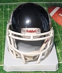 Bronko Nagurski Trophy Mini Helmet Charlotte Touchdown Club Riddell