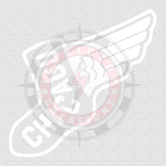Chicago Sox Decal stickers