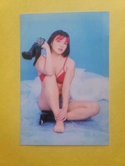 Hikaru Shida Women&rsquo;s Pro Wrestling Photo 4×6&Prime; Portrait All Elite AEW Gravure