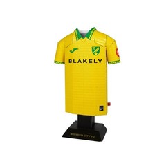 Norwich City Metal Football Shirt Personalised 2025-26 Home Kit Alloy Shirt