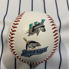 Atlantic League ALPB TEAM LOGOS DEFUNCT Souvenir baseball collectible ball V2