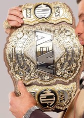 New MJF AEW Wrestling Championship Belt Replica Adult Size Brass