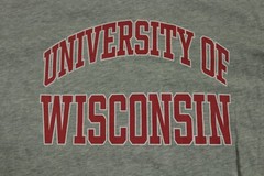 Uniqlo Wisconsin Badgers Shirt Mens Large Gray Graphic NCAA a5