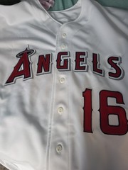 Garret Anderson Signed Angels Jersey PSA DNA