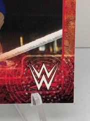 2015 Topps WWE | #55 Nikki Bella & # 12 Brie Bella | 2 Card Lot | Base