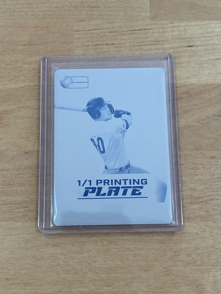 Ethan Frey 2026 Leaf Pro Set Metal Baseball 1/1 Printing Plate