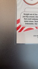 2025 WNBA Donruss Mascots Atlanta Dream Star #13 SSP – Pls read description