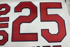Mark McGwire St Louis Cardinals Jersey Patches Name & Numbers