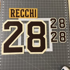 2010 Boston Bruins Winter Classic Mark Recchi 28 Jersey Lettering Kit