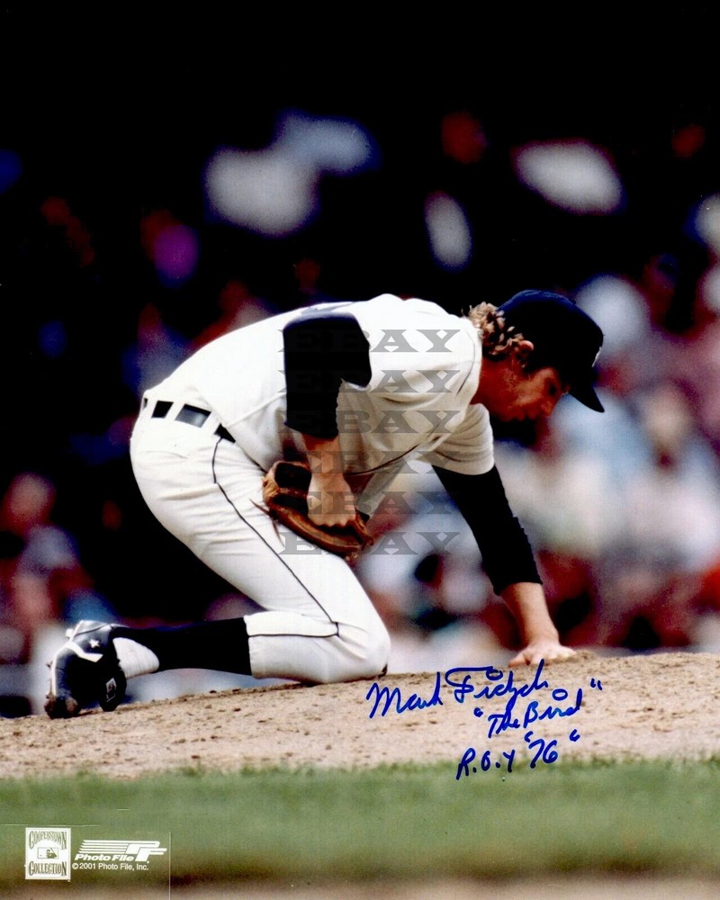 Mark Fidrych Detroit Tigers. Signed 8×10 autographed photo Reprint