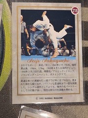1995 BBM Pro Wrestling Farewell To Ring Card Set 218–223 Japan Insert WWE WWF