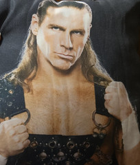 WWE Slam Crate Exclusive – Bret Hart vs. Shawn Michaels Pillow – NEW & SEALED