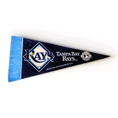 Tampa Bay Rays MLB Baseball Team Sports Souvenir Felt Flag Pendant 10” Decor