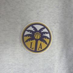 WNBA LOS ANGELES SPARKS NIKE PRATICE HOODIE GRAY WOMEN&rsquo;S SIZE XL NWT