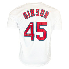 Random Autographed/Signed MLB Jersey Mystery Box with COA