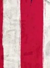 Wincraft MLB Los Angeles Angels 60 » x 30 » Patriotic Rustic Flag Beach Towel
