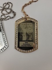 WWE No Way Out 2008 Elimination Chamber Pendant Necklace Lot RAW Smackdown ECW