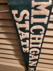 Vtg 56 Michigan State Felt Rose BOWL Pennant 24&Prime; Spartans Football