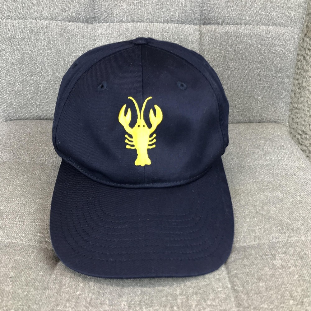 Michigan Wolverines Hat Cap Strap Back Mens One Size Blue NCAA Port Authority
