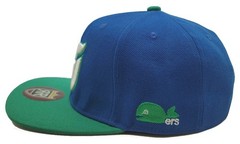 Hartford Whalers New Royal Retros Vintage Blue Green Snapback Era Hat Cap