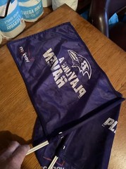 Baltimore Ravens Falcons Verizon Promotional Play like A Raven NFL Car Flags 2